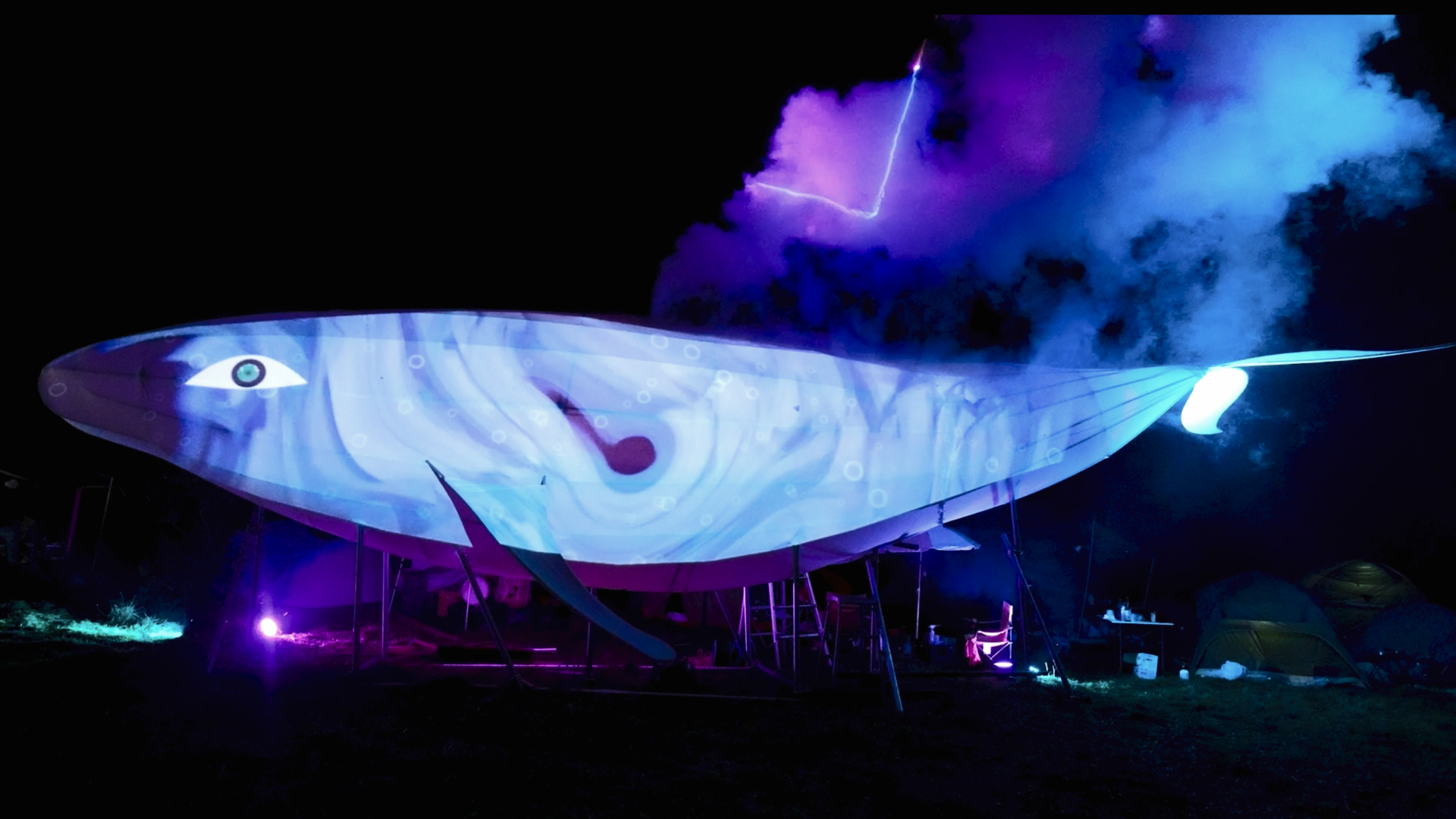 A Whales Earth Catalog