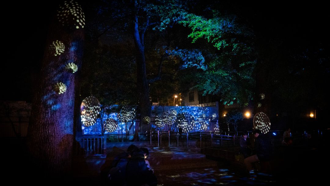 Ueno installation