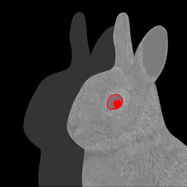 Run Turtle, Run Rabbit album artwork